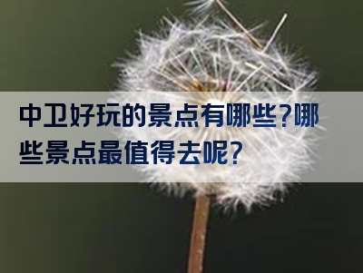 中卫好玩的景点有哪些？哪些景点最值得去呢？