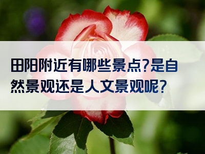 田阳附近有哪些景点？是自然景观还是人文景观呢？