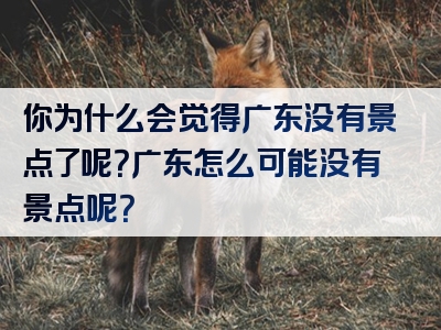 你为什么会觉得广东没有景点了呢？广东怎么可能没有景点呢？