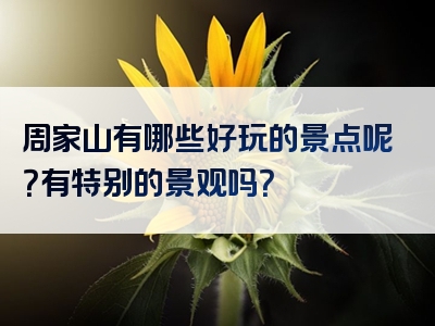 周家山有哪些好玩的景点呢？有特别的景观吗？
