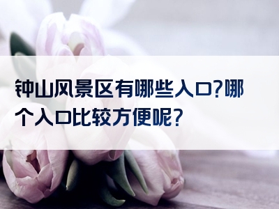 钟山风景区有哪些入口？哪个入口比较方便呢？
