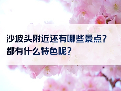 沙坡头附近还有哪些景点？都有什么特色呢？