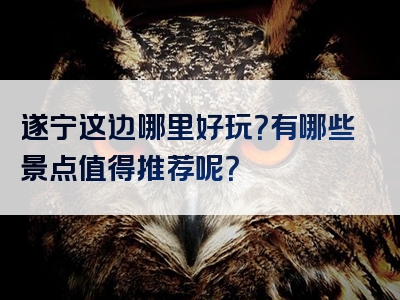 遂宁这边哪里好玩？有哪些景点值得推荐呢？