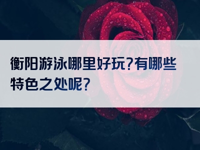 衡阳游泳哪里好玩？有哪些特色之处呢？