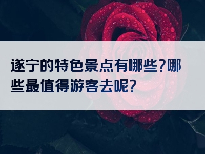 遂宁的特色景点有哪些？哪些最值得游客去呢？