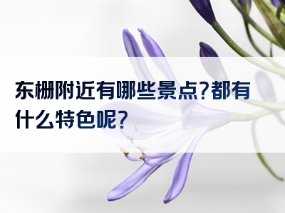 东栅附近有哪些景点？都有什么特色呢？