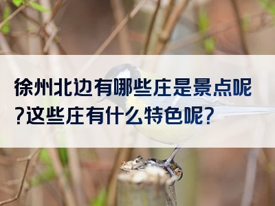 徐州北边有哪些庄是景点呢？这些庄有什么特色呢？