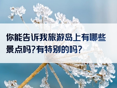 你能告诉我旅游岛上有哪些景点吗？有特别的吗？