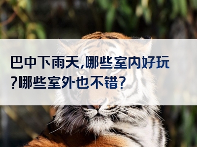 巴中下雨天，哪些室内好玩？哪些室外也不错？