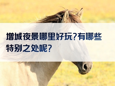 增城夜景哪里好玩？有哪些特别之处呢？