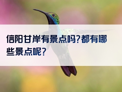信阳甘岸有景点吗？都有哪些景点呢？
