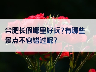 合肥长假哪里好玩？有哪些景点不容错过呢？