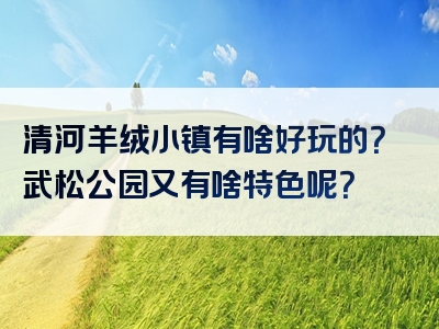 清河羊绒小镇有啥好玩的？武松公园又有啥特色呢？