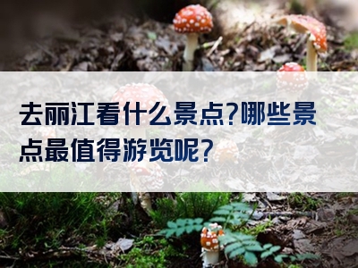 去丽江看什么景点？哪些景点最值得游览呢？