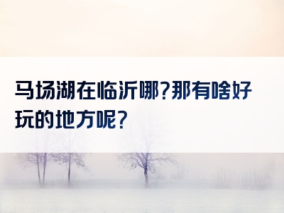 马场湖在临沂哪？那有啥好玩的地方呢？