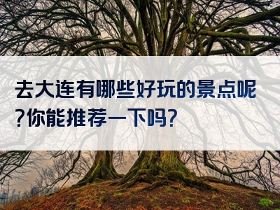 去大连有哪些好玩的景点呢？你能推荐一下吗？