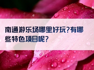 南通游乐场哪里好玩？有哪些特色项目呢？