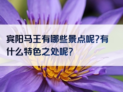 宾阳马王有哪些景点呢？有什么特色之处呢？