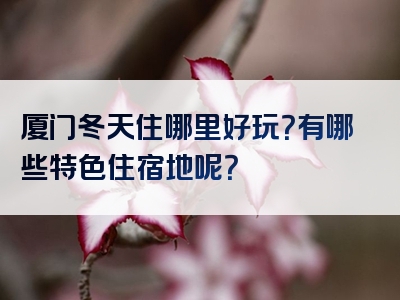 厦门冬天住哪里好玩？有哪些特色住宿地呢？