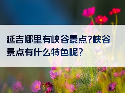 延吉哪里有峡谷景点？峡谷景点有什么特色呢？