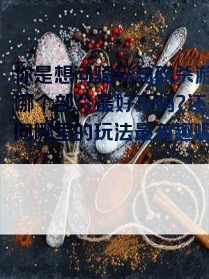 你是想问骑马与砍杀游戏里哪个部分最好玩吗？还是想问哪里的玩法最有趣呢？