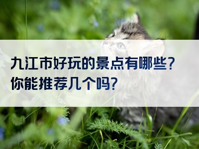 九江市好玩的景点有哪些？你能推荐几个吗？
