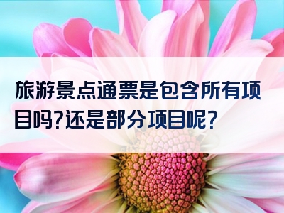旅游景点通票是包含所有项目吗？还是部分项目呢？