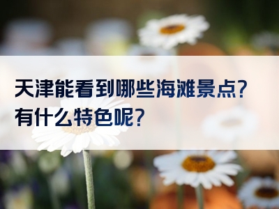 天津能看到哪些海滩景点？有什么特色呢？
