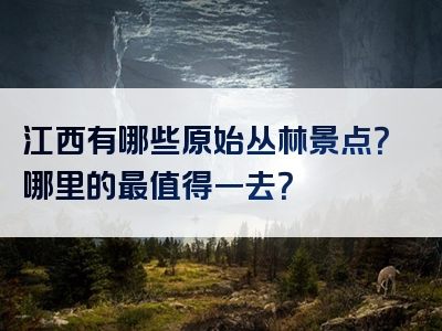 江西有哪些原始丛林景点？哪里的最值得一去？