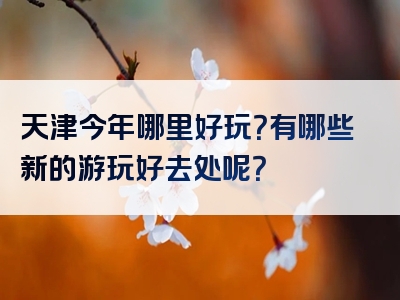 天津今年哪里好玩？有哪些新的游玩好去处呢？