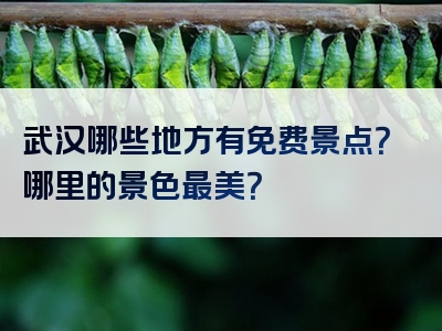 武汉哪些地方有免费景点？哪里的景色最美？