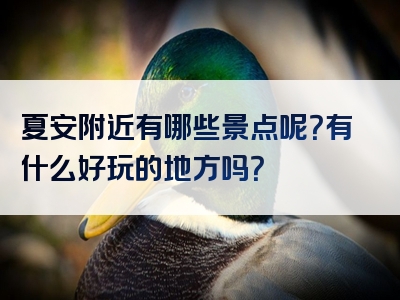 夏安附近有哪些景点呢？有什么好玩的地方吗？