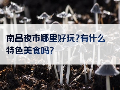 南昌夜市哪里好玩？有什么特色美食吗？