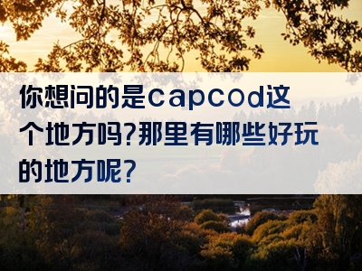你想问的是capcod这个地方吗？那里有哪些好玩的地方呢？