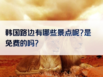韩国路边有哪些景点呢？是免费的吗？