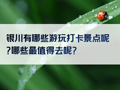 银川有哪些游玩打卡景点呢？哪些最值得去呢？