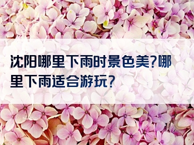 沈阳哪里下雨时景色美？哪里下雨适合游玩？