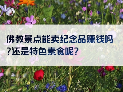 佛教景点能卖纪念品赚钱吗？还是特色素食呢？
