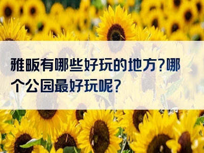 雅畈有哪些好玩的地方？哪个公园最好玩呢？