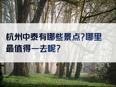 杭州中泰有哪些景点？哪里最值得一去呢？