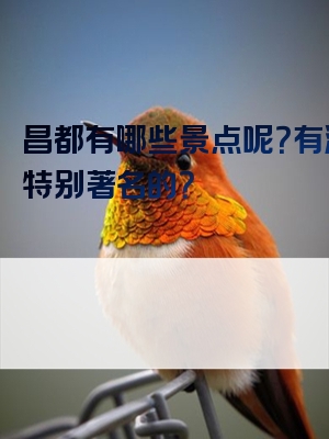 昌都有哪些景点呢？有没有特别著名的？