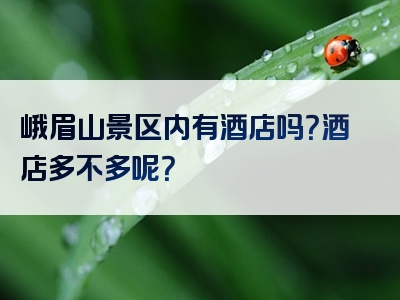 峨眉山景区内有酒店吗？酒店多不多呢？