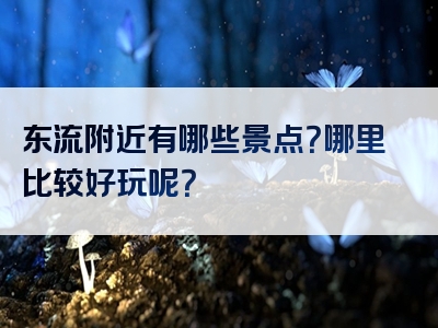 东流附近有哪些景点？哪里比较好玩呢？