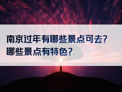 南京过年有哪些景点可去？哪些景点有特色？