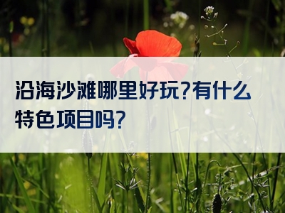 沿海沙滩哪里好玩？有什么特色项目吗？