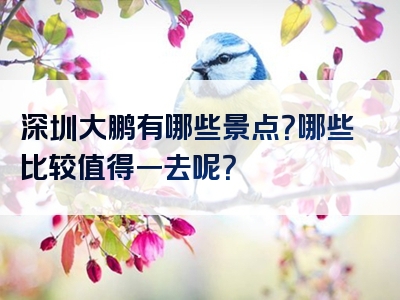 深圳大鹏有哪些景点？哪些比较值得一去呢？