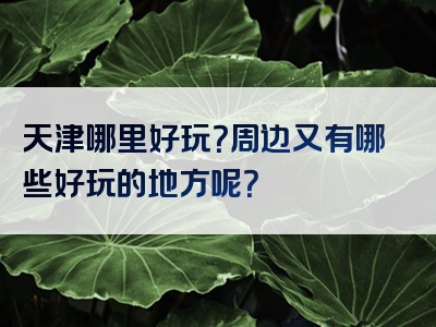 天津哪里好玩？周边又有哪些好玩的地方呢？