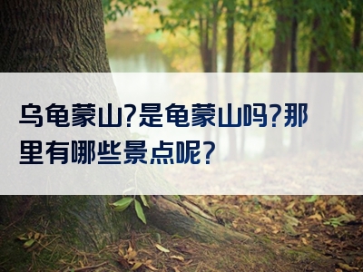 乌龟蒙山？是龟蒙山吗？那里有哪些景点呢？