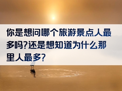 你是想问哪个旅游景点人最多吗？还是想知道为什么那里人最多？