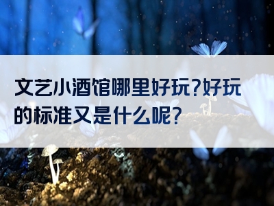 文艺小酒馆哪里好玩？好玩的标准又是什么呢？